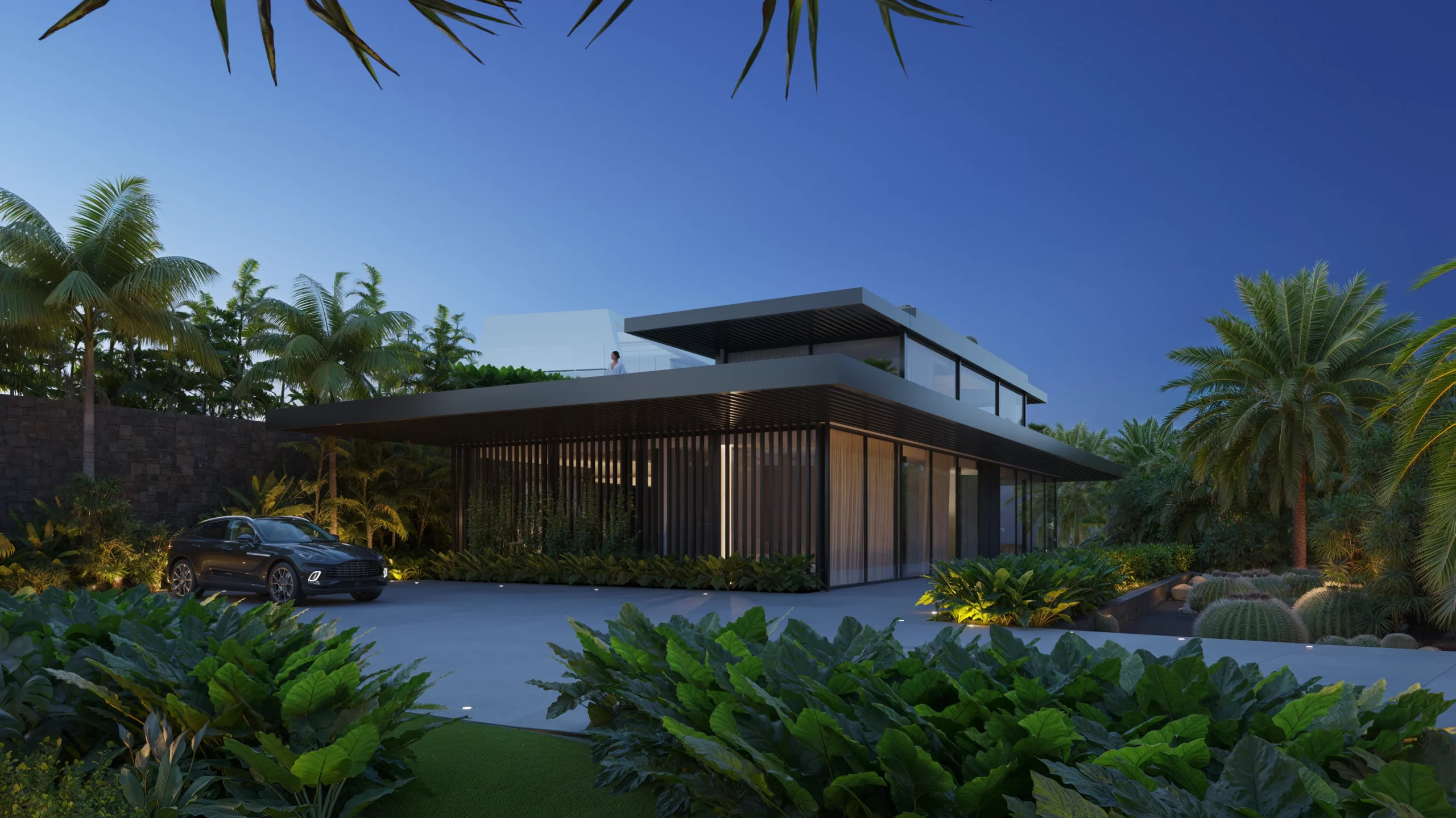 NBUCLE_CAM_84_16_WEB_CARRUS_1.2